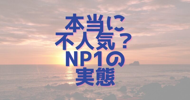 本当に売れない！？画面のないカーナビ「NP1」がヒットしない理由